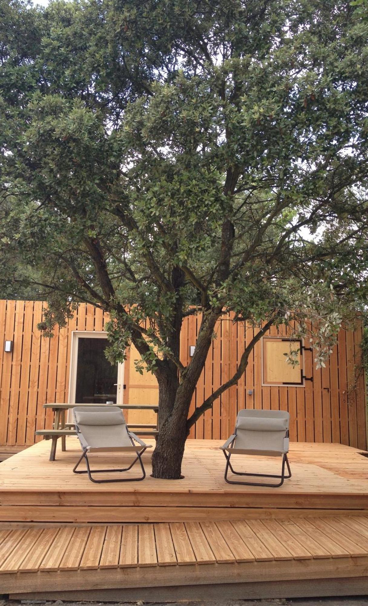 Lodges En Provence - Ecogites & Restaurant Insolites Richerenches Room photo
